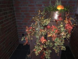 IMG-20210924-WA0003