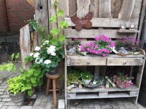 IMG-20170701-WA0009